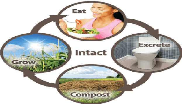 Balancing Nutrient Cycles